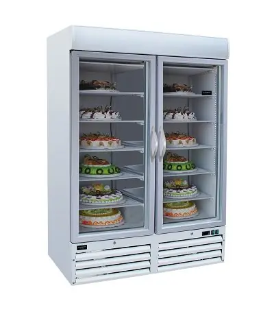 Betaalbaar Vriezer 2 glazen deuren - 1079 liter - Wit - 1370x700x(h)1990mm