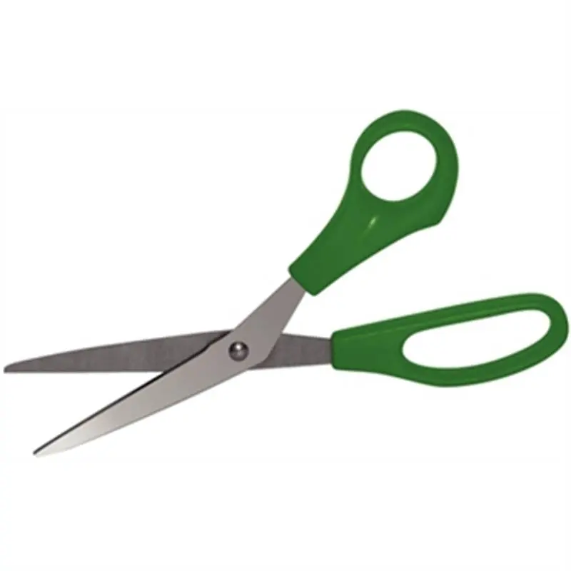 Schaar Basic - Groen - Fruit en Groente - 20cm Actieprijs