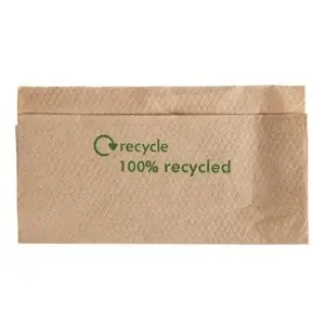 Nieuw Disposable Servetten - 1 Laags - Gerecycled - 6000 stuks - 32x33cm