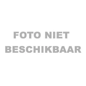 Premium Raspschijf 4mm