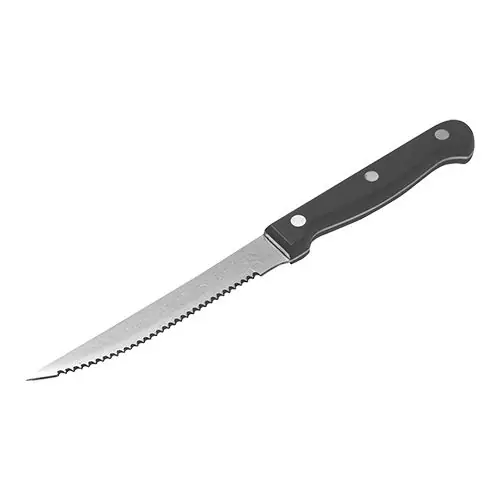 Snelle Levering Steakmesser | Edelstahl