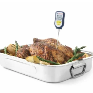 Betrouwbaar Digitale Kernthermometer met Sonde - Waterdicht - Meetbereik –55°C tot 350°C