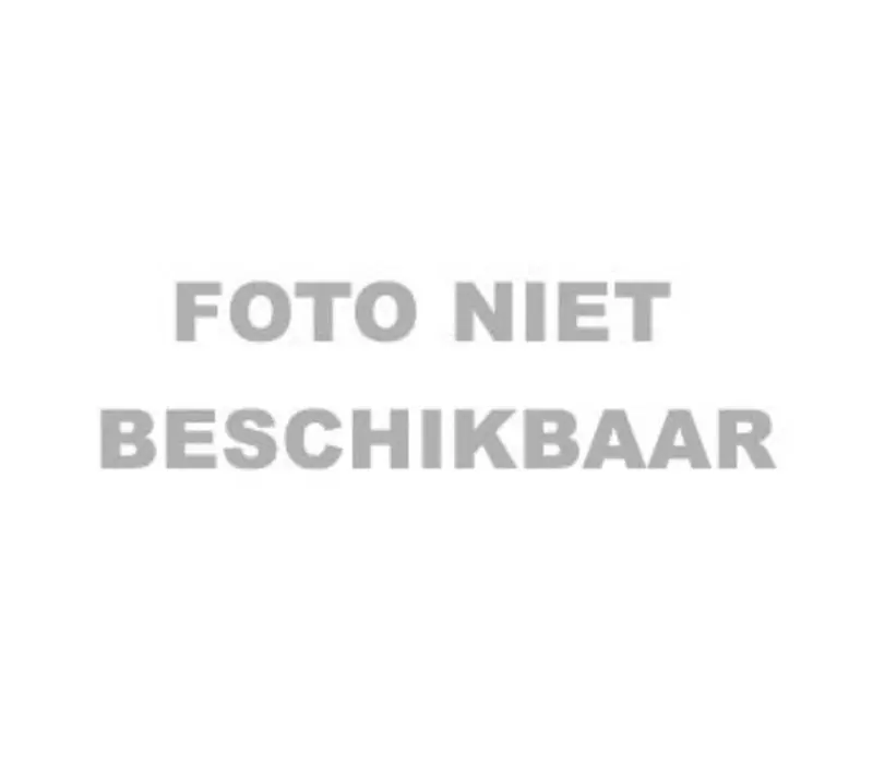TL Vervanging Lamp 15W 2 stuks Must-Have
