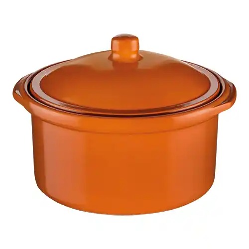 Cocotte Met Deksel - Ø170mm Beste Prijs