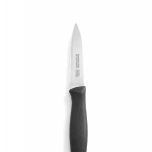 Schilmesje 190 mm spits - met PP heft lemmet 87 mm Rechtstreeks Van De Fabrikant
