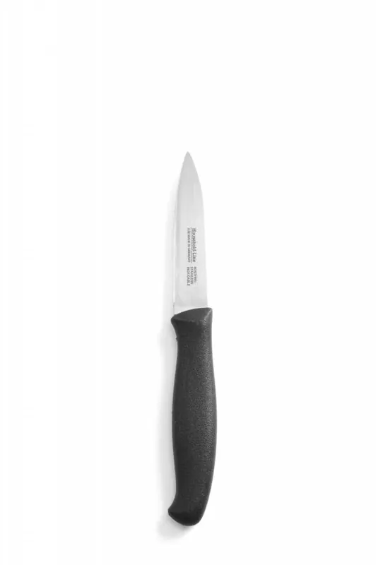 Schilmesje 190 mm spits - met PP heft lemmet 87 mm Rechtstreeks Van De Fabrikant