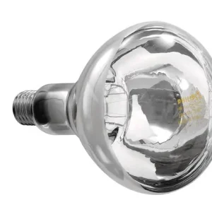 Laatste Versie Philips Infraroodlamp - 250W