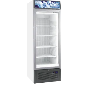 Gecertificeerd Display Vrieskast FDv 4643-40 307 Liter met Glazen Deur