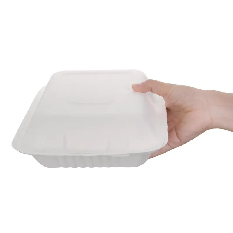 Composteerbare Voedseldozen - Bagase - 200 Stuks - 223x201mm Koop Online