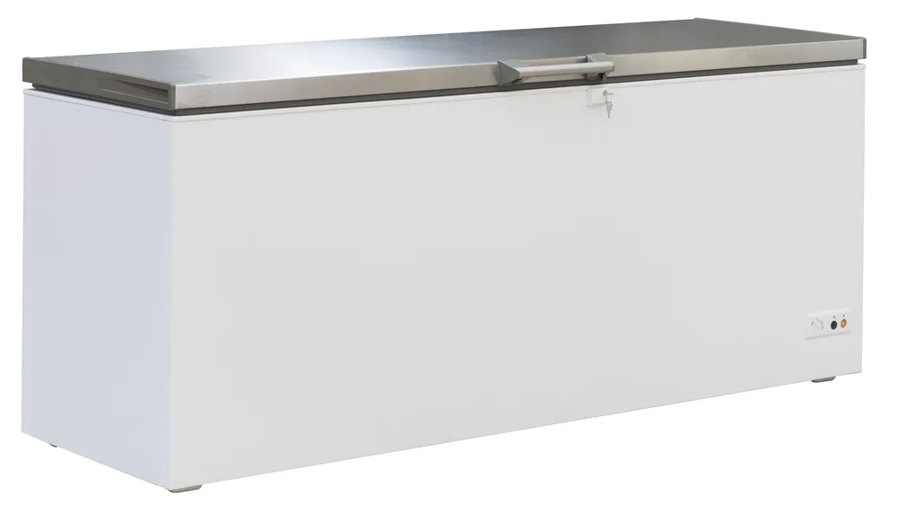 Dagaanbieding Vrieskist - RVS deksel - 635L