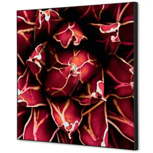 Hoge Kwaliteit Wanddecoratie cactus rood - 400x400mm