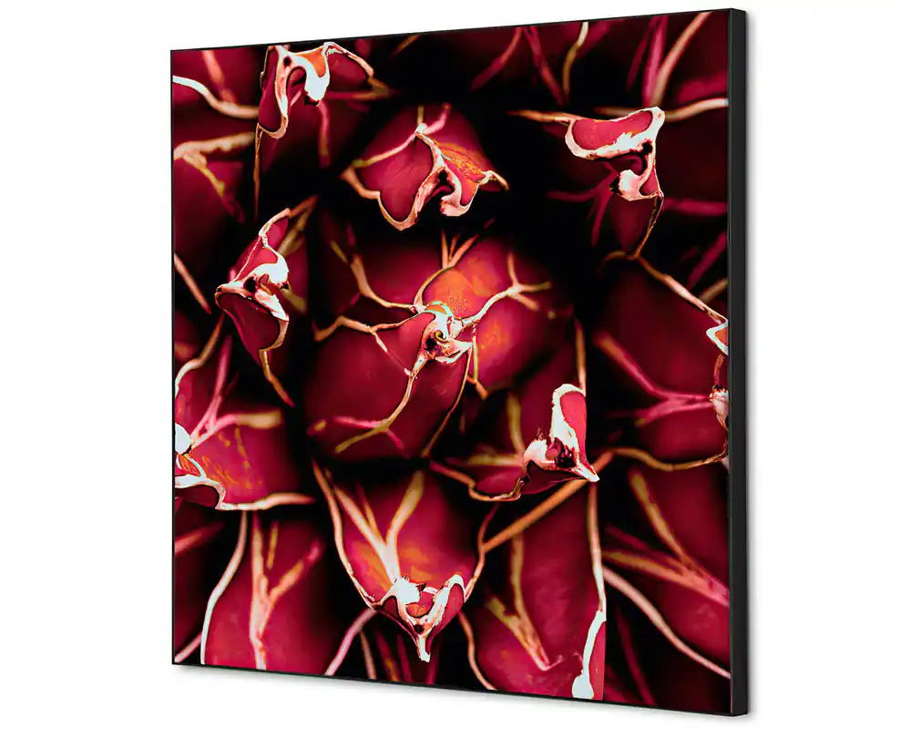 Hoge Kwaliteit Wanddecoratie cactus rood - 400x400mm