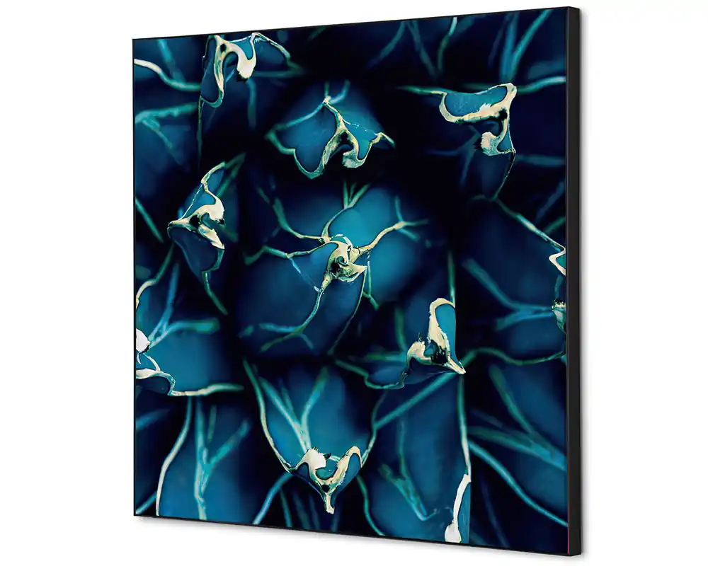 Wanddecoratie cactus blauw - 400x400mm Hoge Kwaliteit