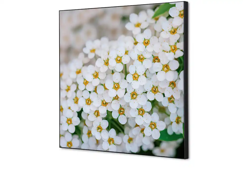 Speciale Aanbieding Wanddecoratie Spirea - 400x400mm