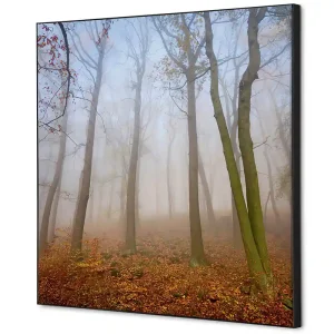 Alleen Vandaag Wanddecoratie herfst mist - 400x400mm