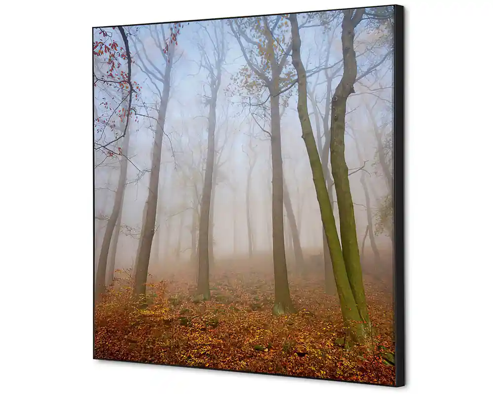 Alleen Vandaag Wanddecoratie herfst mist - 400x400mm