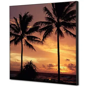 Betrouwbaar Wanddecoratie palmbomen zonsondergang - 400x400mm