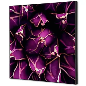 Wanddecoratie cactus paars - 400x400mm Seizoensaanbieding