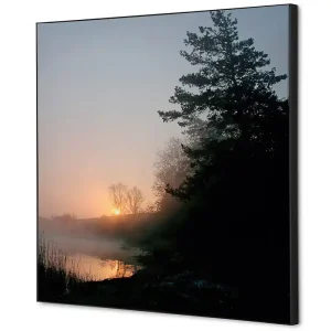 Populair Wanddecoratie zonsopgang bos - 400x400mm