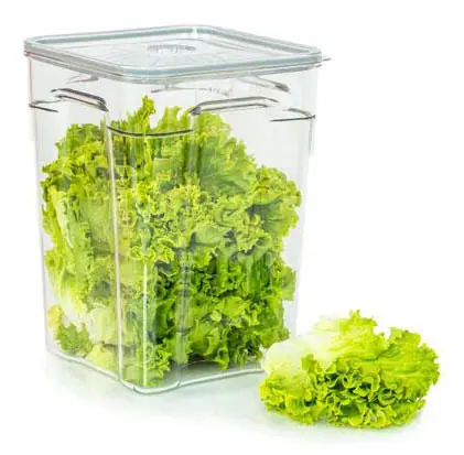 Vacuüm container 10L - Excl. deksel Direct Beschikbaar