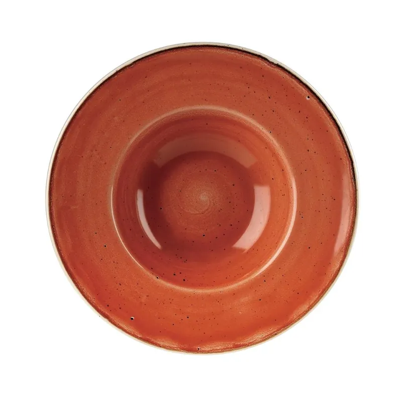 Churchill Stonecast Spiced Orange kom met brede rand Medium 23.88 cm pak van 12 Betaalbaar