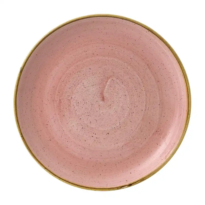 Beste Prijs Churchill Petal Pink borden 11 1/4" (Pak van 12)