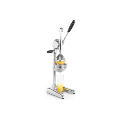 Handmatige citruspers RVS Dagaanbieding