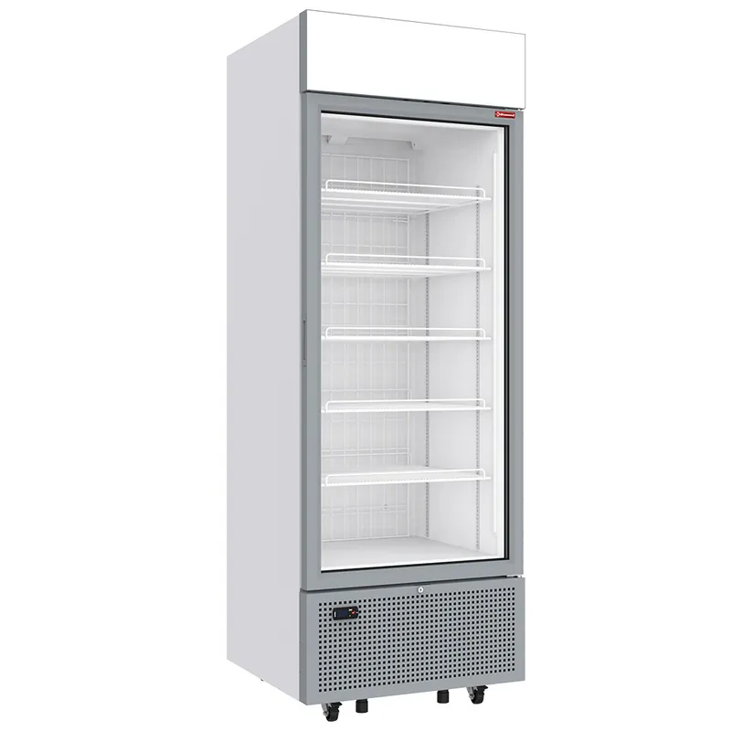 Populair Negatieve gekoelde vitrine 646 liter - 6 niveaus met lichtbak - WIT