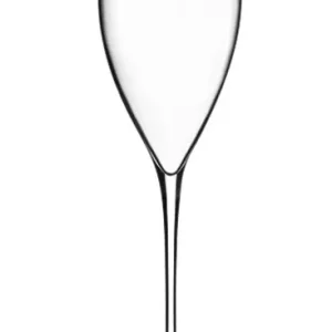 Champagneflute Magnifico 32 cl Laatste Versie