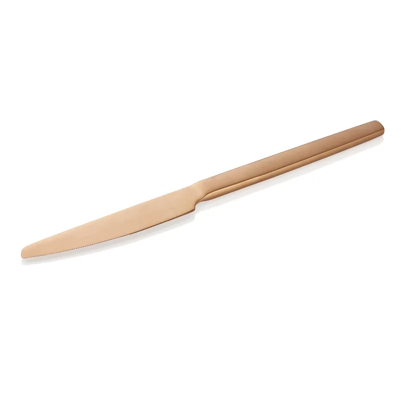 Beste Prijs Tafelmessenset ALEX BRONZE, met bronzen kleur, matte PVD-beschichting, 23 cm, set van 12 stuks, chroomstaal 13/0