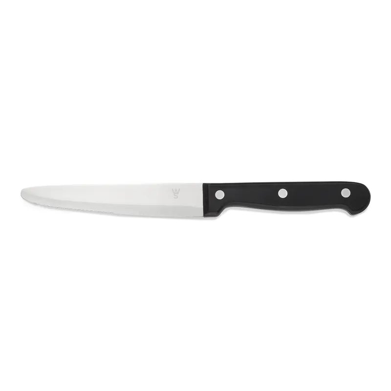 Koop Online Steakmessenset, met POM kunststofhandvat, 25 cm, set van 6 stuks, polyoxymethyleen, chroomstaal 13/0