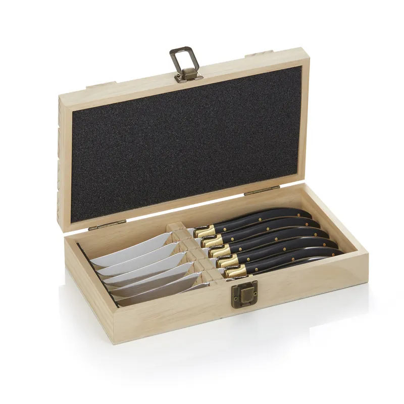 Nieuw Steakmessenbox CARLOS, met 6 messen, 23 cm, dennenhout, lemmetstaal 420, hout