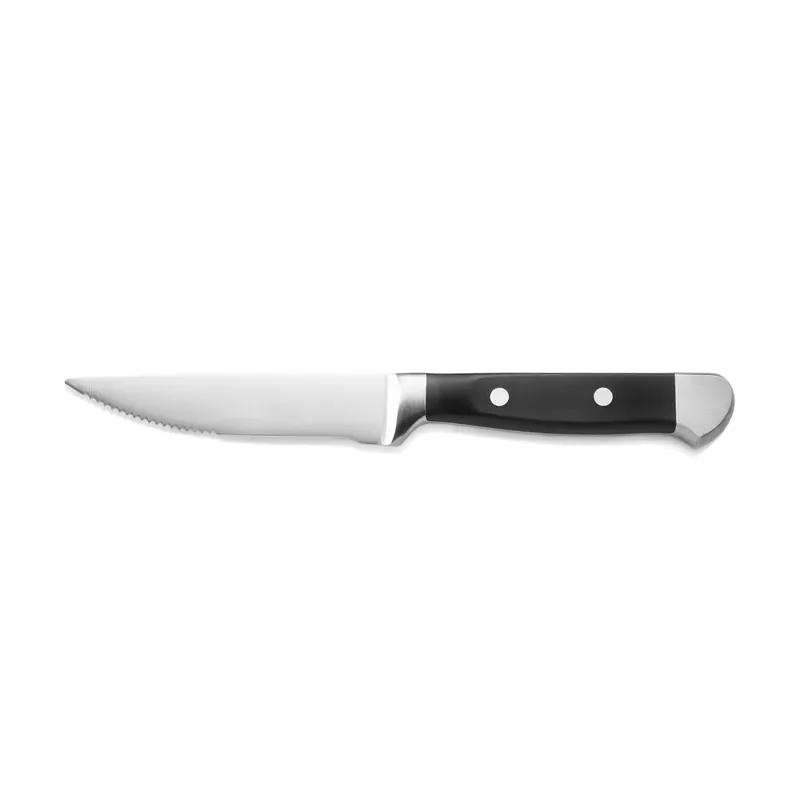 Koop Vandaag Steakmessenset, met POM kunststofgreep, 25,5 cm, set van 6 stuks, polyoxymethyleen, roestvrij staal 13/0