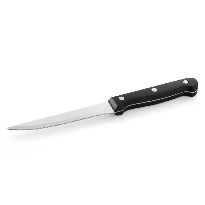 Populair Steak- en pizzamessenset, met kunststofhandvat, 21 cm, set van 12 stuks, roestvrij staal