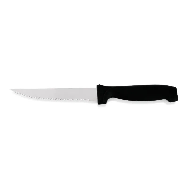 Steakmessen-set, met kunststofhandvat, 22 cm, set van 6 stuks, roestvrij staal Finale Uitverkoop