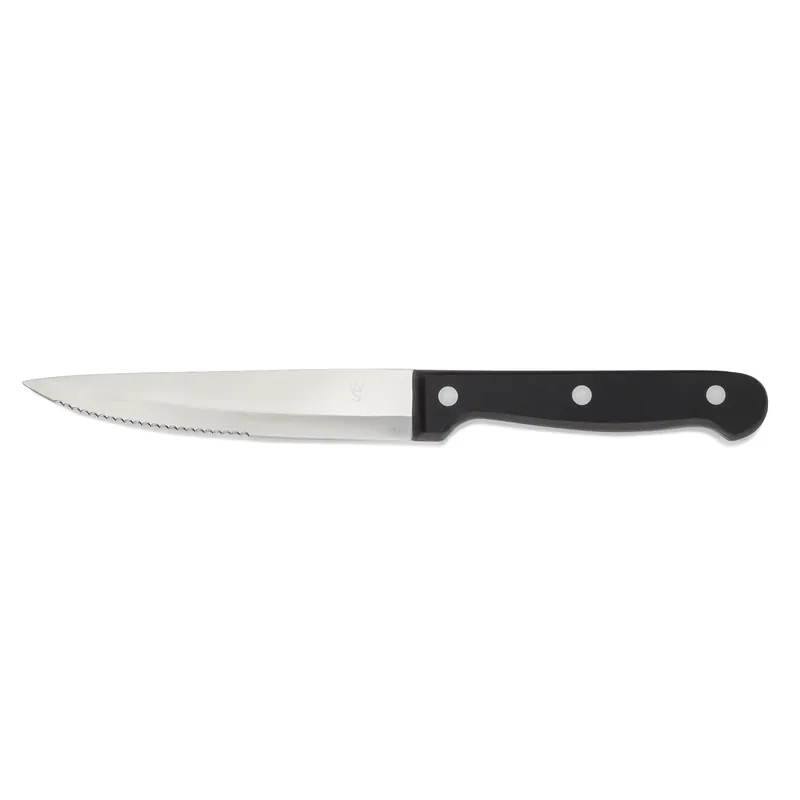 Steakmessen-set, met POM kunststofgreep, 25 cm, set van 6 stuks, polyoxymethyleen, roestvrij staal 13/0 Direct Verzonden