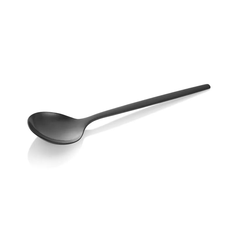 Koop Vandaag Soeplepelset ALEX BLACK, met zwarte matte PVD-bescherming, 18 cm, set van 12 stuks, roestvrij staal 18/10