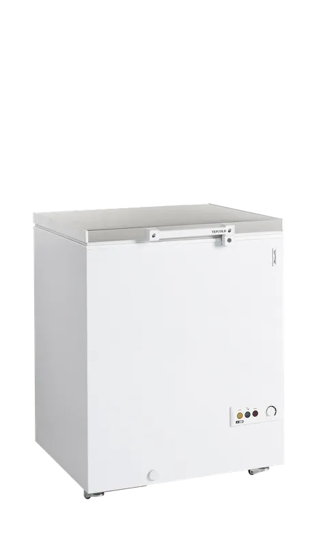 Express Levering TEFCOLD Diepvrieskist - FR205S SL