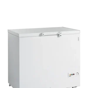 TEFCOLD Diepvrieskist - FR305 SL Goedkoop