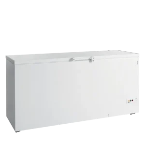 Direct Verzonden TEFCOLD Diepvrieskist - FR605 SL