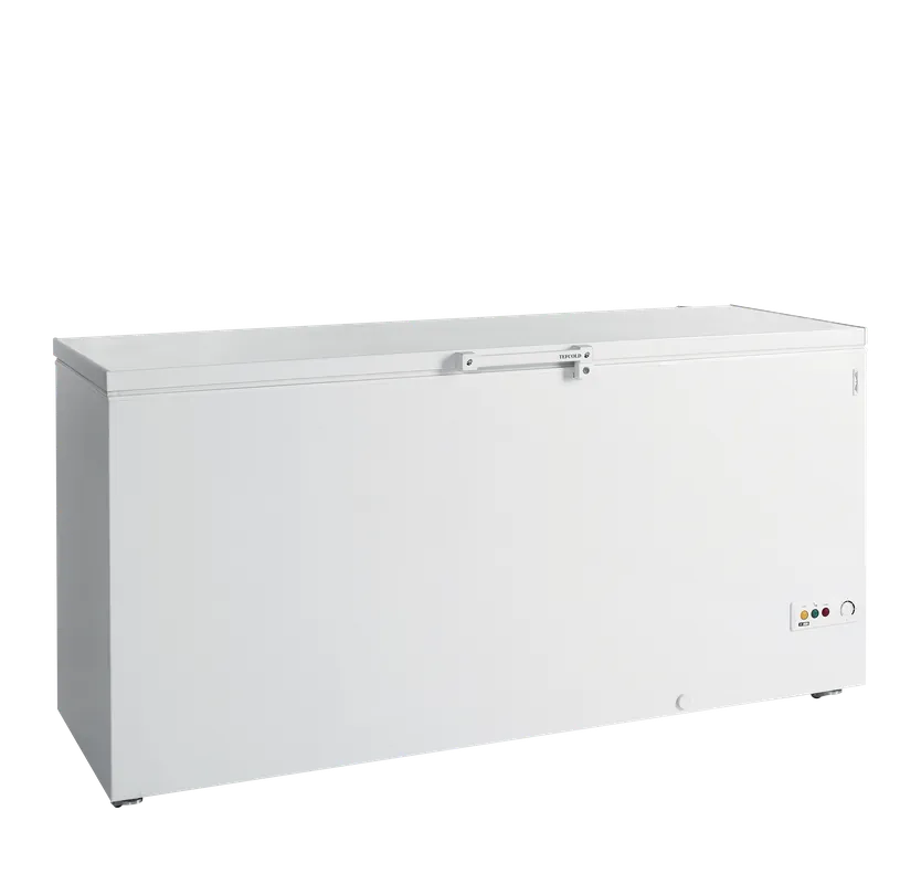 Direct Verzonden TEFCOLD Diepvrieskist - FR605 SL