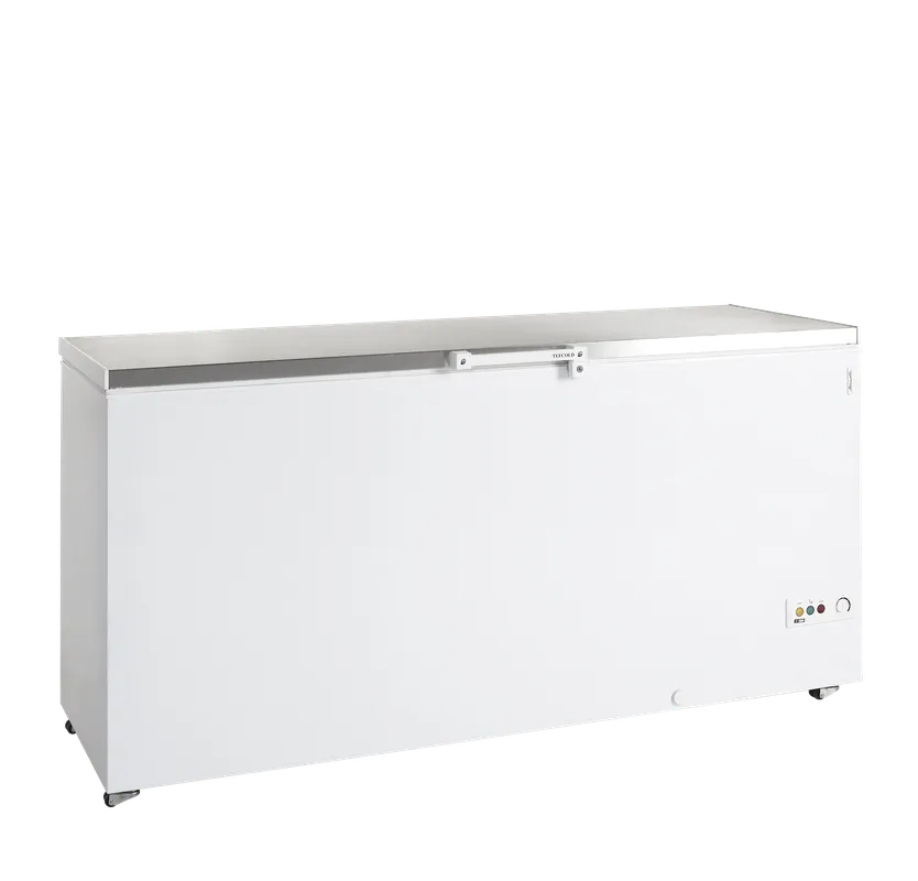 Nu Kopen TEFCOLD Diepvrieskist - FR605S SL