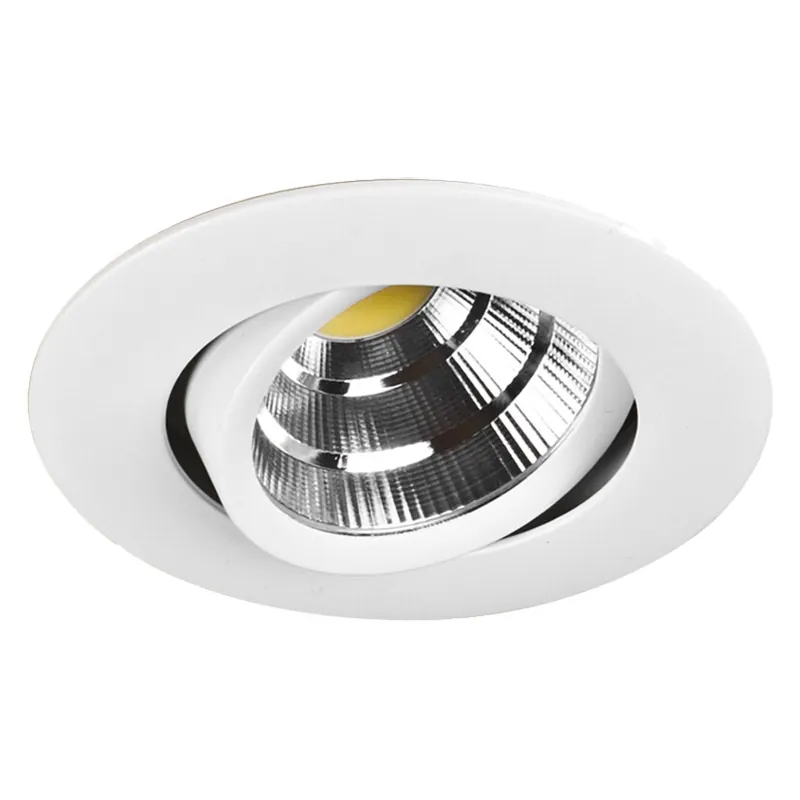 DPS 008031 onderdeel Premium