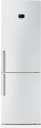 Koop Online LG GB3133SWJW koelkast