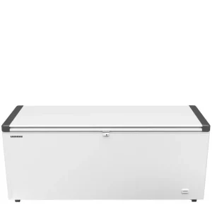 Hete Deal Liebherr EFL 6055-20 vriezer
