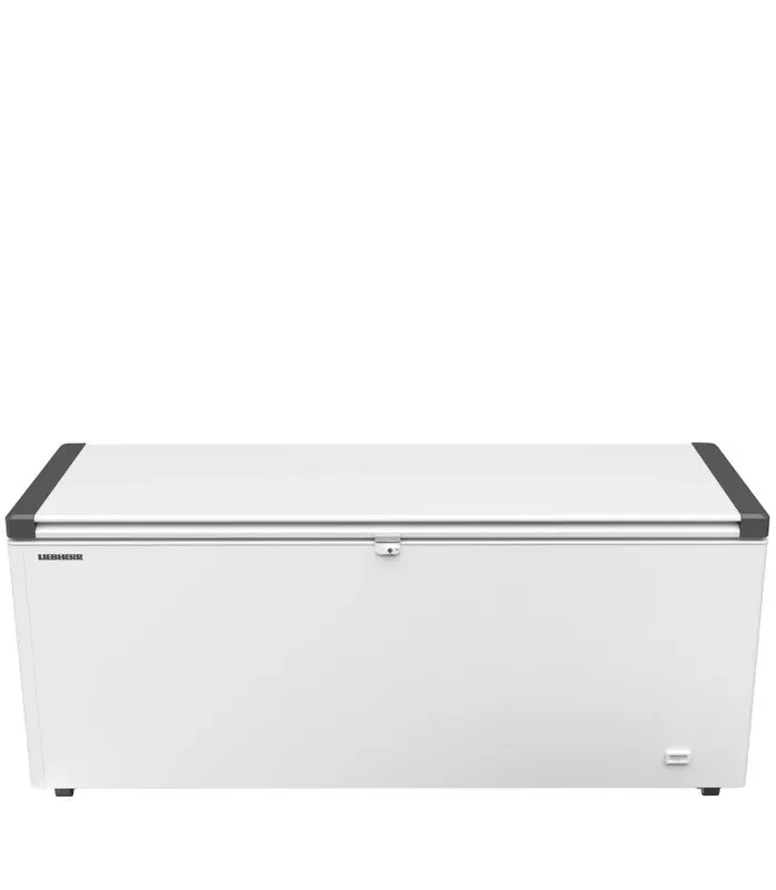 Hete Deal Liebherr EFL 6055-20 vriezer