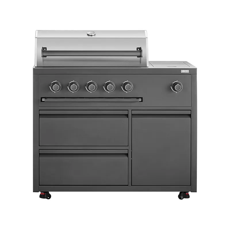Beste Prijs OCE D2136 barbecue
