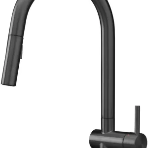 Reginox R38819 keukenkraan Flitsaanbieding
