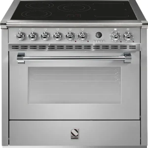 Hoge Kwaliteit Steel A9S5FISS fornuis